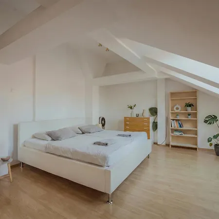 120 M2 In The Centre Of The Old Town Pozsony